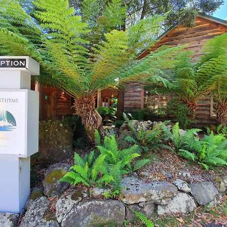 Lemonthyme Wilderness Retreat 호텔 Moina 외부 사진