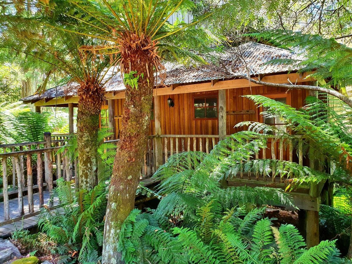 Lemonthyme Wilderness Retreat 호텔 Moina 외부 사진