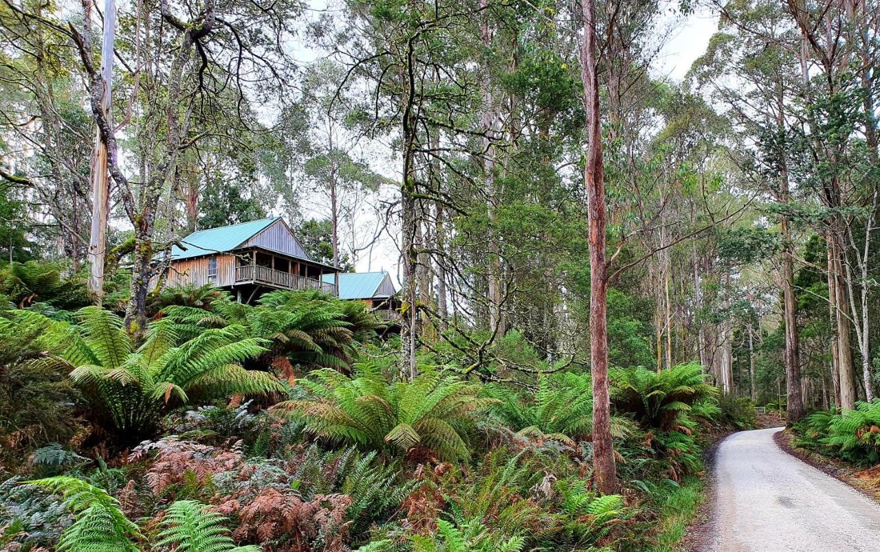 Lemonthyme Wilderness Retreat 호텔 Moina 외부 사진