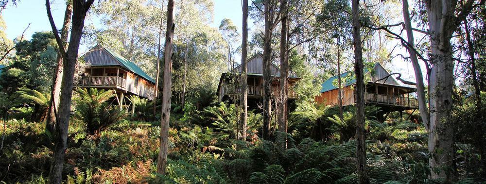Lemonthyme Wilderness Retreat 호텔 Moina 외부 사진