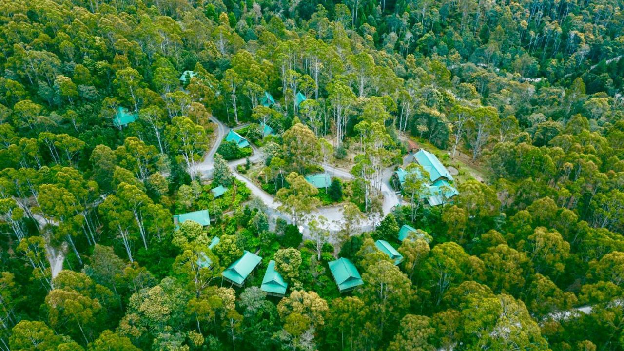 Lemonthyme Wilderness Retreat 호텔 Moina 외부 사진
