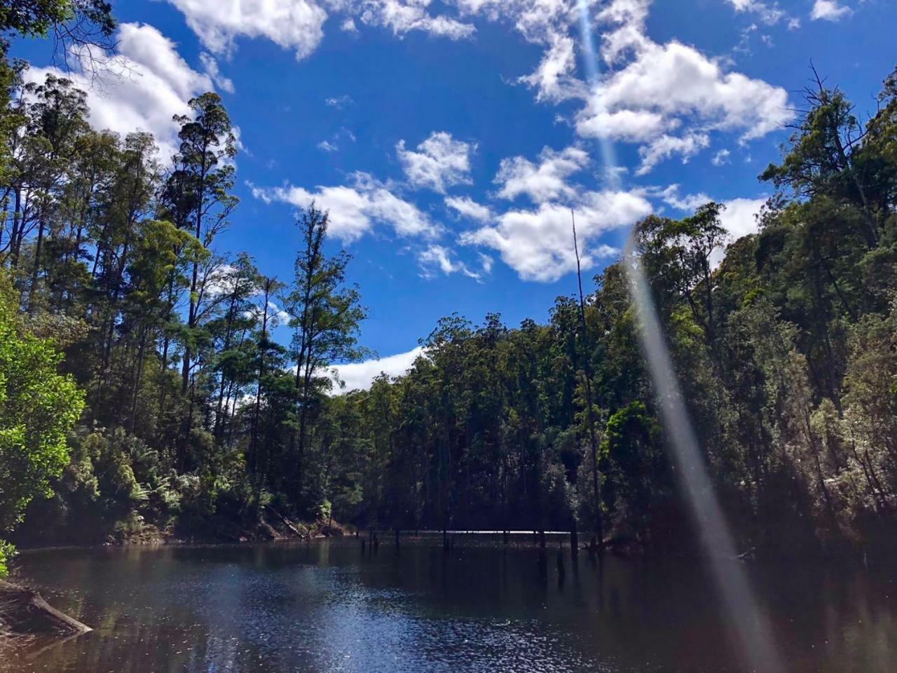 Lemonthyme Wilderness Retreat 호텔 Moina 외부 사진
