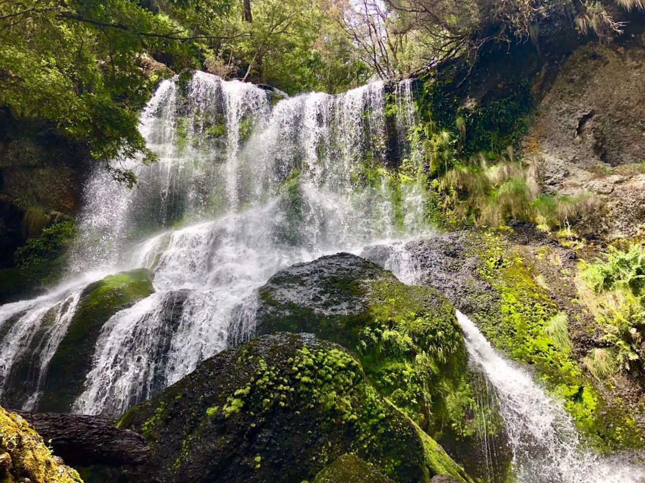 Lemonthyme Wilderness Retreat 호텔 Moina 외부 사진
